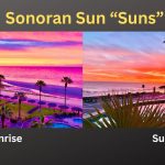 sonoran-sun-suns