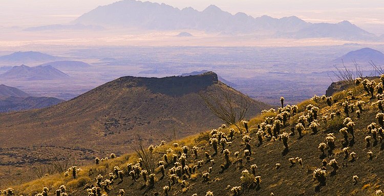 pinacate-biosphere-reserve-off-mexico-federal-highway-8